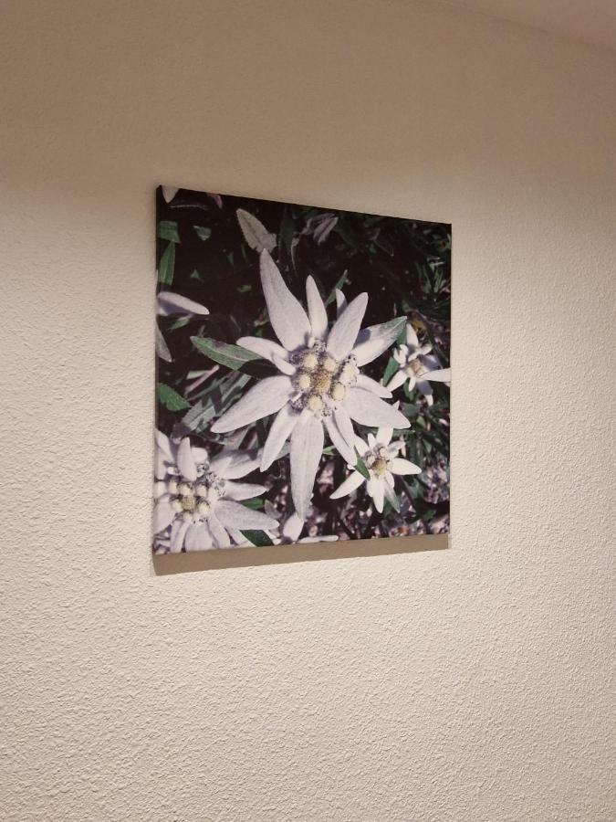 شقة Flor De Nieve جاكا المظهر الخارجي الصورة